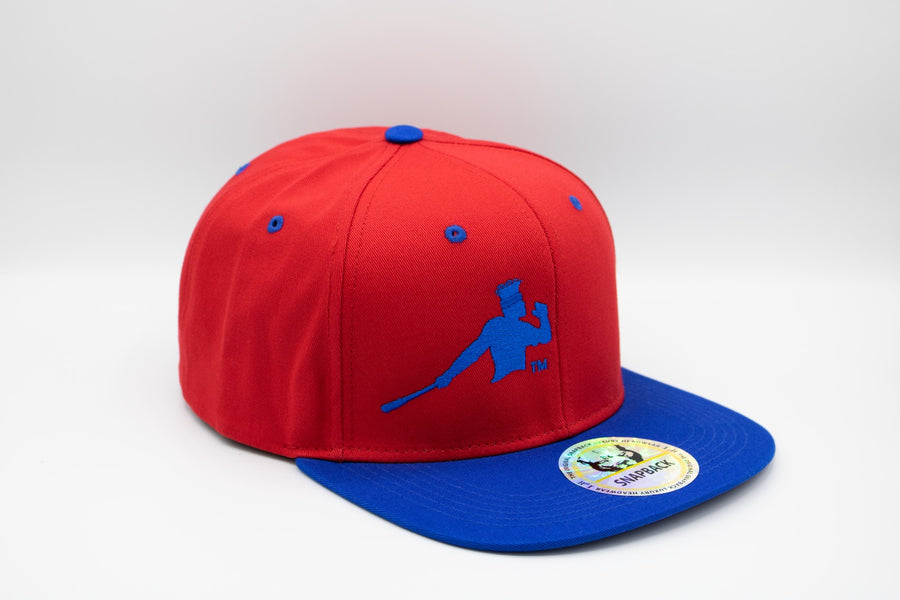 Red and blue Piña Power snapback cap